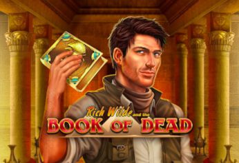 Book of Dead High Variance Slot