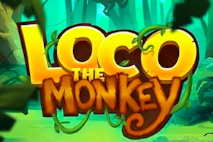 Loco The Monkey